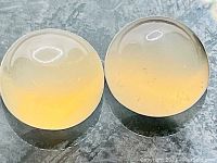 Top view of two round cabochon peach moonstones showing translucency and cat's eye effect.