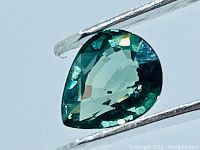 Close-up of pear cut greenish blue natural sapphire held with tweezers, showing facets and color.