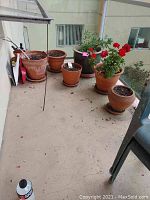 Overview of balcony area with several terracotta pots, some containing plants, others empty with soil, plus gardening tools and a spray bottle observed on concrete floor.