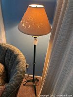 Full view of floor lamp showing metal base and floral embossed translucent lampshade in a room with blue walls and beige curtains.