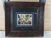 Full view of framed Tom Thomson Wildflower Print showing dark wood frame and black mat with white trim.