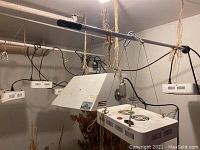 Wide view of grow tent and six LED grow light panels suspended by cords and ropes in basement room.