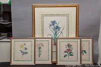 Five framed floral prints arranged with larger iris print in the back and four smaller ones in front.
