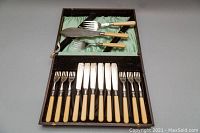 Full view of the flatware set inside the open vintage case, shows 6 forks and 6 knives with cream-colored celluloid handles, and the top section with serving pieces.