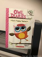 Front cover of "Eva's Treetop Festival" showing colorful owl illustration on white background with pink spine and Branches series label.