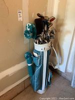 Golf bag filled with golf clubs, showing overall condition and arrangement