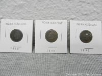 Lot of 3 Indian Head pennies from 1888, 1890, and 1893 in labeled holders.