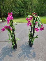Two tall black planters with vibrant purple silk flowers standing outdoors on pavement with greenery in the background.