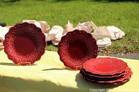 View of the full set of plates laid out including both large dinner plates and smaller dessert plates, showing the deep red color and embossed ridged winterberry pattern around the edge.