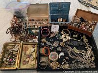 Wide view of trays and boxes containing assorted costume jewelry including brooches, necklaces, bracelets, pins