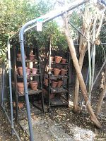 Full lot image showing metal greenhouse frame with multiple shelves and numerous terracotta pots arranged on shelves and on ground, surrounded by foliage.