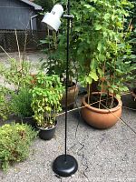 Full view of the floor lamp standing outdoors on pavement with potted plants in background. Shows black base and pole with white adjustable metal shade.
