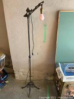 Full view of the vintage metal floor lamp with pink bulb, showing overall height and adjustable arm.