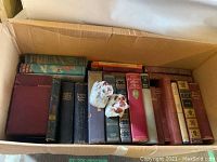 Box filled with multiple vintage hardcover classic fiction books and a pair of small dog figurines on top, showing overall contents of the lot.