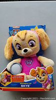 Paw Patrol Snuggle Up Skye plush toy in packaging, visible front view, showing face and pink clothing.