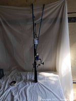 Photo of two fishing rods standing upright against a backdrop,