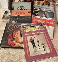 Wide shot of all the record albums arranged together showing front covers of Carmen, Aida, La Traviata, Allan Sherman, The Barry Sisters, and more.