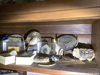 Shelf overview showing two large ammonite halves, crystal clusters, trilobite and other specimens