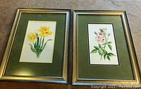 Both floral watercolor paintings framed side by side on floor, showing gold-toned frames and green mats.
