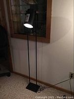 Full view of the black floor lamp standing on carpet next to a window with wooden frame