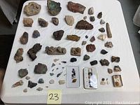 Overview of a large collection of various mineral and rock specimens spread on a white surface, showing variety in size, shape, and color.
