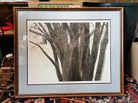 Overall front view of framed print showing mat, frame, and glass