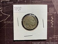 Obverse side of 1937 US Buffalo Nickel showing Native American profile, housed in white cardboard holder with window.