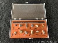 Top-down photo of the full fossil collection in a clear display case with labeled types.