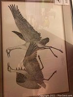 Front view of framed limited edition print featuring two Sandhill Cranes in flight, double matted with glass frame.