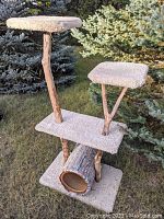 Full view of the custom-built cat tree outdoors showing carpeted platforms, natural wood branch supports, and hollow log tunnel base