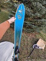 Photo of a blue Salomon downhill ski held vertically showcasing top side and tip with visible logo.