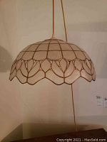Full view of hanging shell swag lamp showing scalloped shell shade with brass outlining and decorative leaf pattern