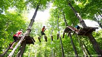 Photo showing people navigating an aerial obstacle course with wooden platforms and hanging wooden steps connected between trees in a forest.