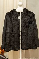 Full front view of black vintage rabbit fur opera jacket on stand with visible texture and sheen of fur.