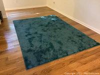 Full view of turquoise rug on wooden floor.
