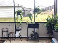 Overall view of lot showing hanging baskets with plants, metal plant stands, rolling cart with planter and accessories