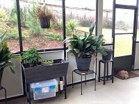 Wide shot showing the planter box on the black metal frame with leafy plants inside, black metal table with a large potted plant, wooden stand, plastic pots, and storage bin beneath planter box.