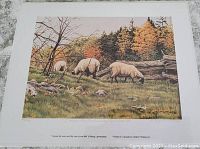 Full view of the art print showing three grazing sheep and autumn trees, with white border surrounding image.