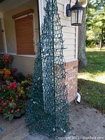 Cone-shaped Christmas tree frame about 72 inches tall, green wired structure with Christmas lights wrapped around it. The photo shows the entire tree in outdoor lighting.