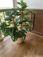 Full view of silk Monstera plant with wide green leaves and yellow stems in terra cotta pot on wooden floor near window.