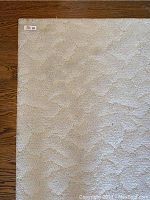 Close-up photo of the white rug showing the sculptured textured pattern and some dirt or spotting on the surface.