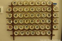 Full view of 45 Franklin porcelain miniature plates depicting state birds and flowers arranged on a wooden wall shelf.