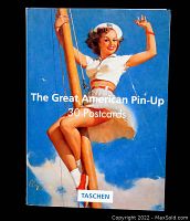 Front cover of the postcard set titled 'The Great American Pin-Up 30 Postcards' by Taschen Publishing showing a pin-up girl on a swing against a blue sky.