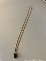 Pendant and chain laid out on flat surface showing full lot