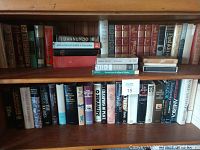 Two wooden shelves filled with a total of approximately 41 hardcover books of various sizes, colors, and conditions. Top shelf contains mainly classic literary works with decorative spines, bottom shelf contains history and classic novels with some vintage bindings.