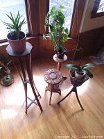 Overview of potted plants and three carved wood plant stands on hardwood floor near window, including aloe and philodendron plants.