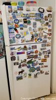 Full view of refrigerator covered with over 50 assorted magnets of various themes including Cape Cod, animals, and travel souvenirs.