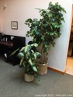 Wide view showing two faux plants in an office setting; tall leafy tree in woven basket planter and smaller variegated leaf plant in white pot.