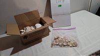 Cardboard box filled with assorted larger white and light-colored seashells and a plastic ziplock bag containing smaller seashells on a white table.