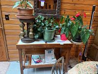 Full view of console table holding five potted plants and one decorative metal stand